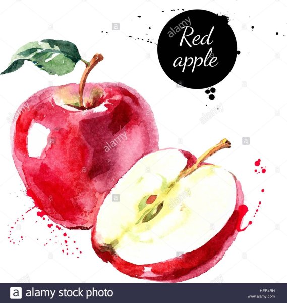 Яблоко рисунок акварелью