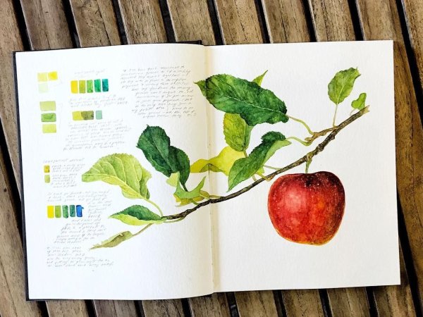 Скетчбук акварелью фрукты