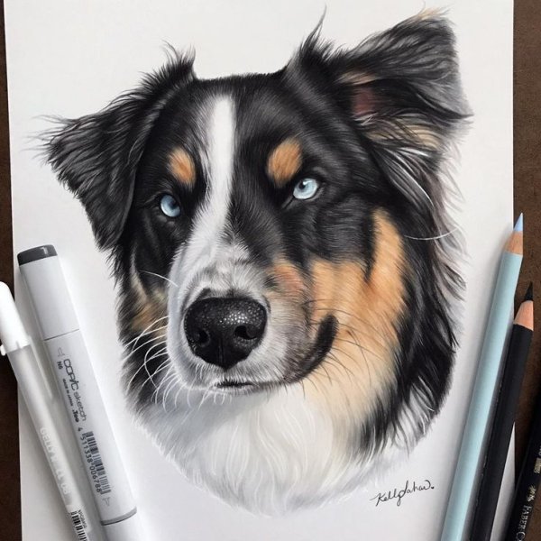 Kelly Lahar художник