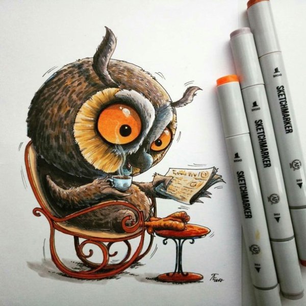 Скетч маркером Совушка