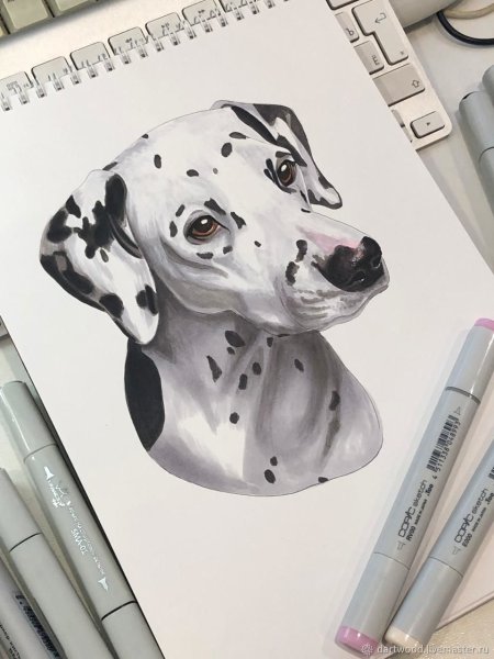 Собаки маркерами рисование