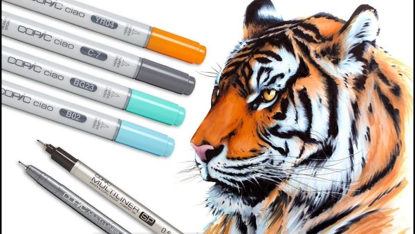 Животные маркерами