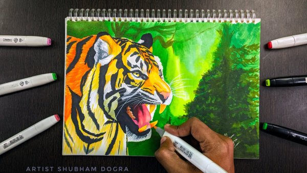 Тигр маркерами