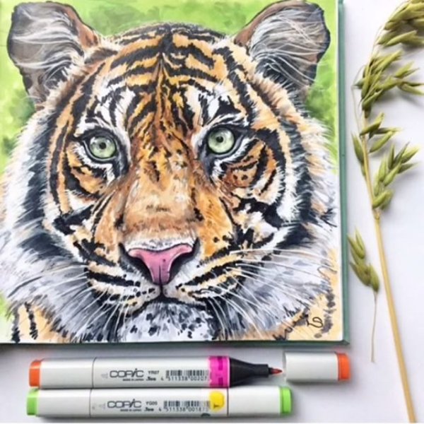 Тигр маркерами