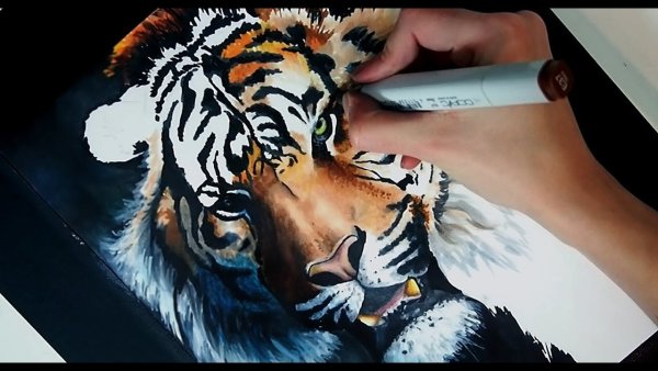 Тигр маркерами для скетчинга