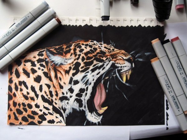 Портрет спиртовыми маркерами