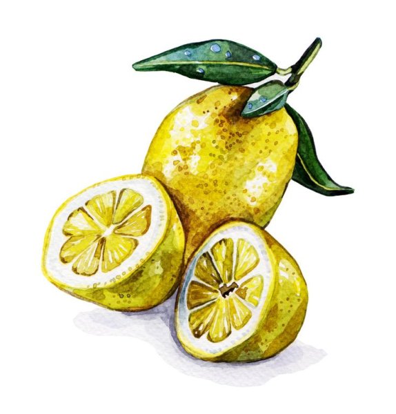 Фрукты акварелью