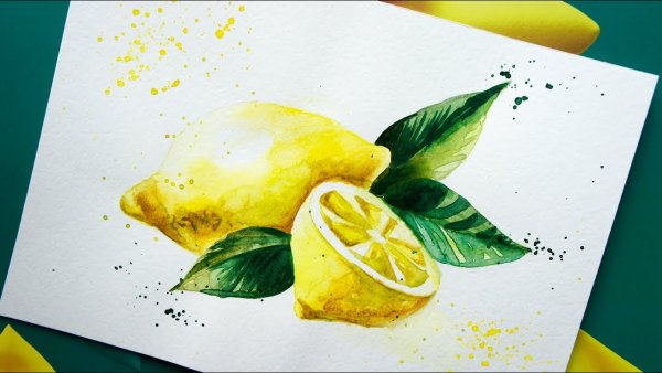 Скетч лимон акварелью