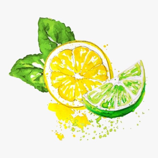 Скетчинг акварелью лимоны