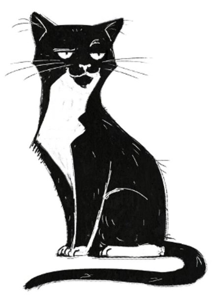 Кошка маркерами