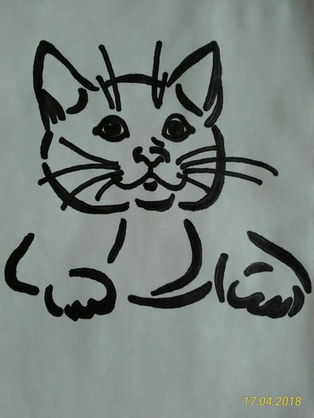 Кот фломастерами