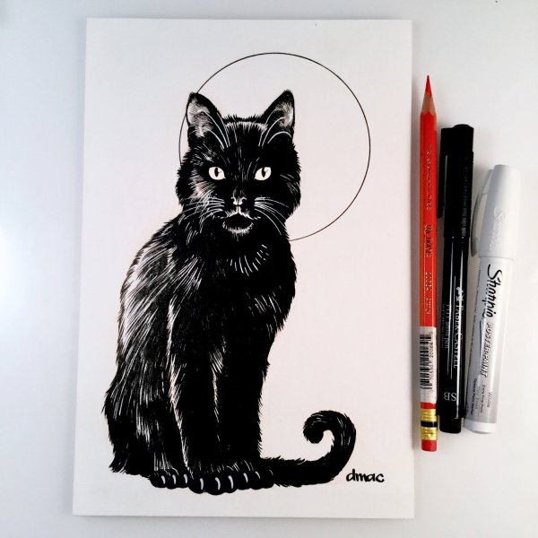 Кошка черным маркером