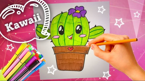 РИСОВАЛОЧКА рисунки