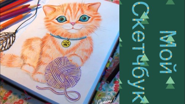Котики для рисования в скетчбуке