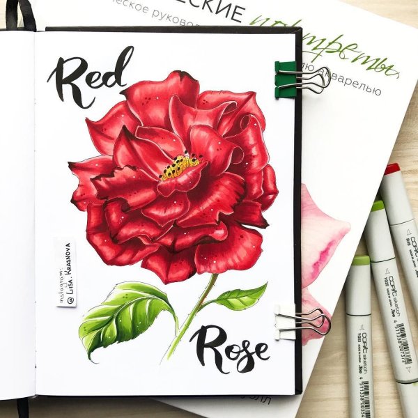 Нарисовать губы акварелью