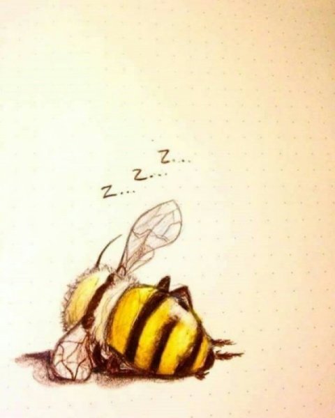 Милые пчелы