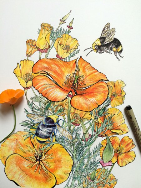 Ручка пчела