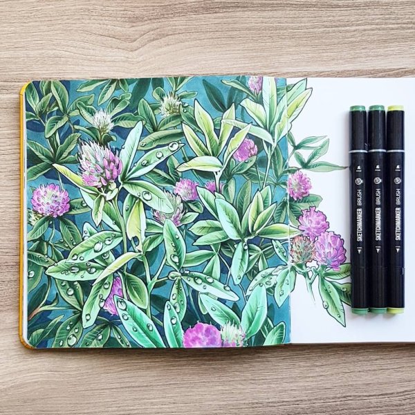 Цветы для скетчбука маркерами