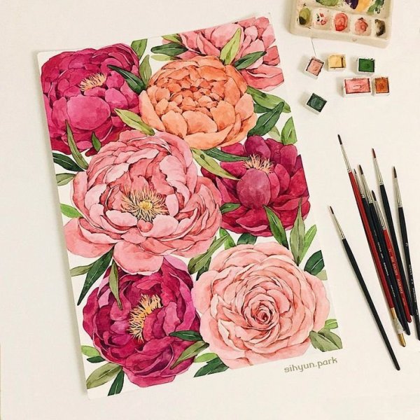 Скетч растение в горшке маркерами