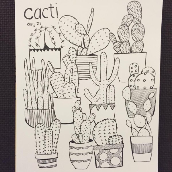 Скетчбук. Кактусы