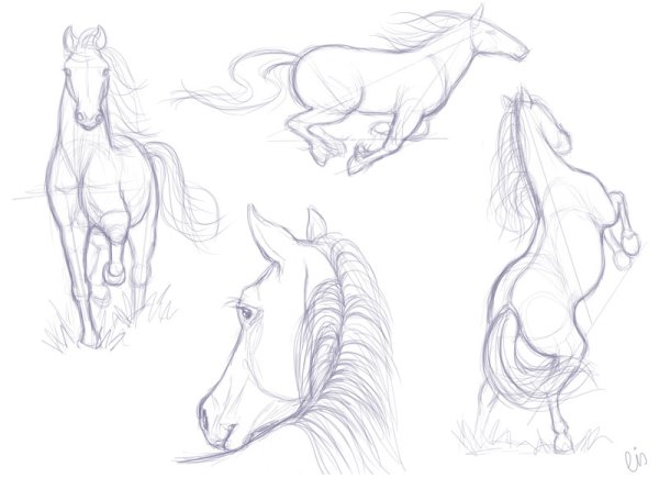 Рисунки скетчинг лошади