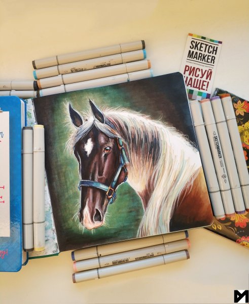 Лошадь рисунок маркерами