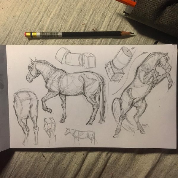 Лошадь скетчинг