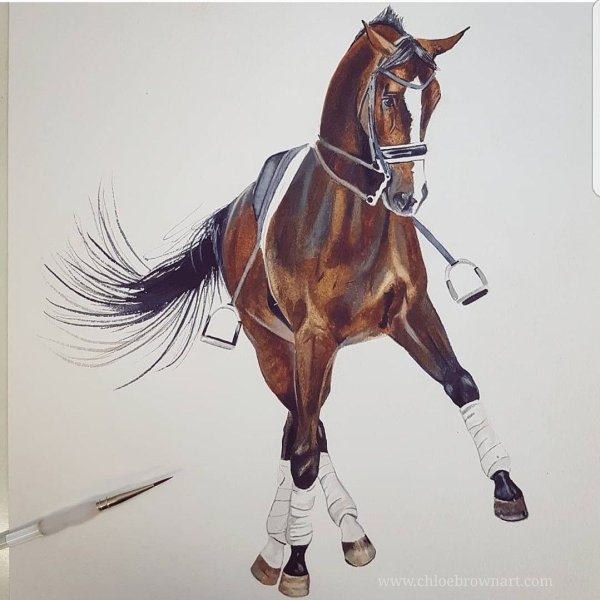 Лошадь маркерами