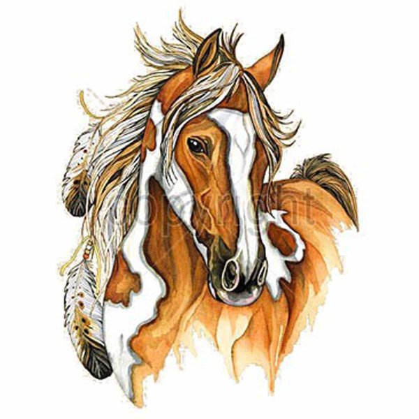 Индейская лошадь эскизы