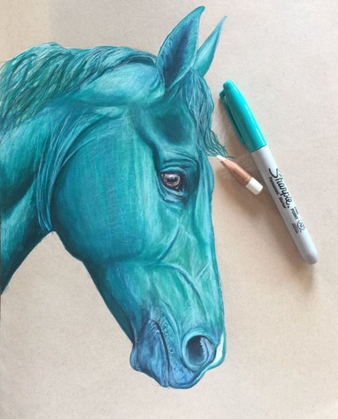Лошадь фломастерами