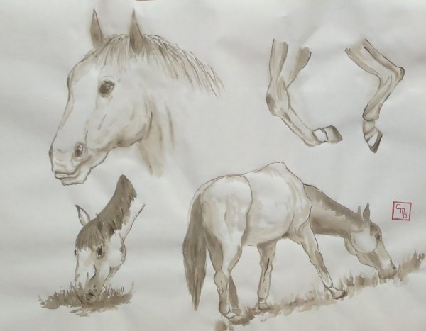 Лошадь скетчинг