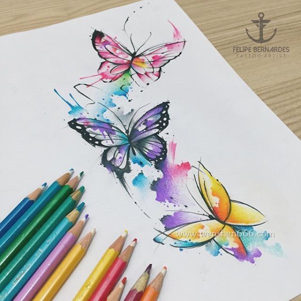 Бабочка скетч акварель