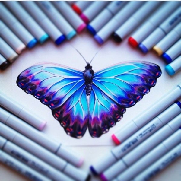 Бабочка фломастерами
