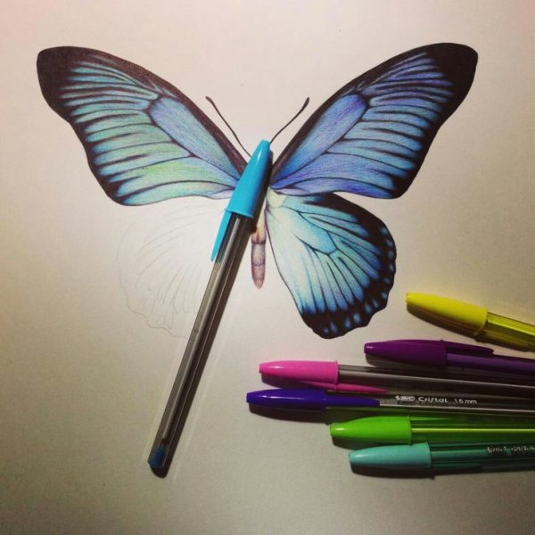 Бабочка фломастерами