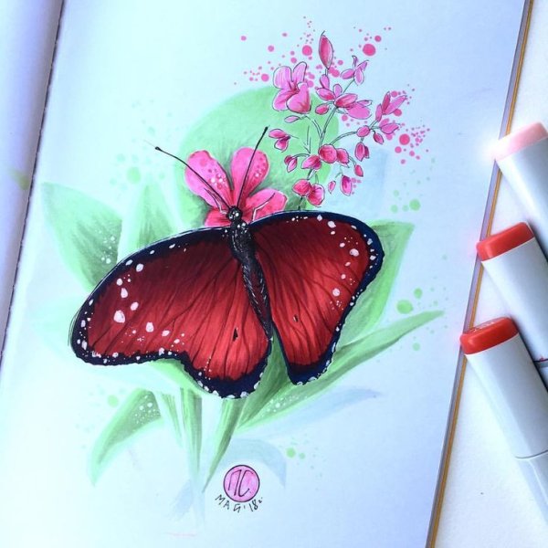 Бабочка скетч маркерами