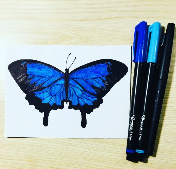 Бабочка скетч маркерами