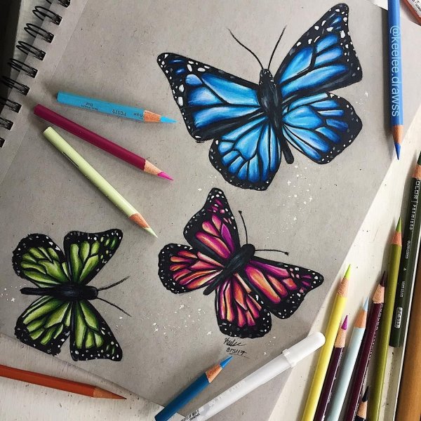 Бабочка маркерами