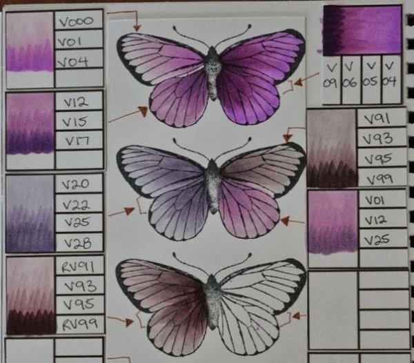 Нарисовать бабочку скетч маркерами