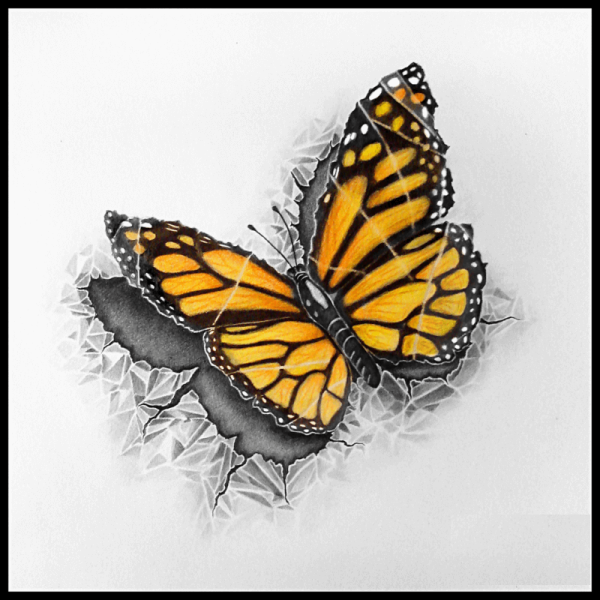 Эскиз тату 3 бабочки