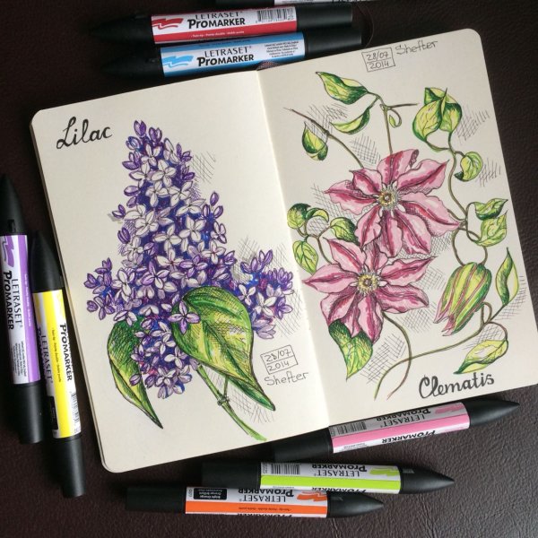 Цветы для скетчбука