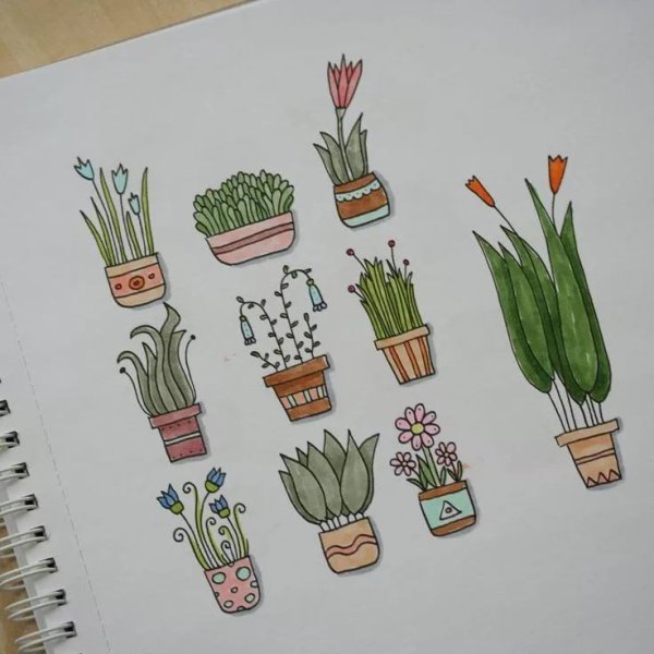 Рисунки для срисовки лёгкие растения