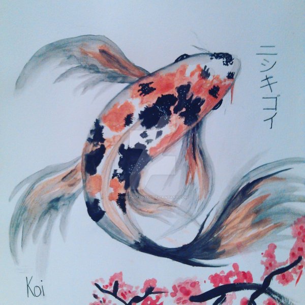 Китайский Карп акварель