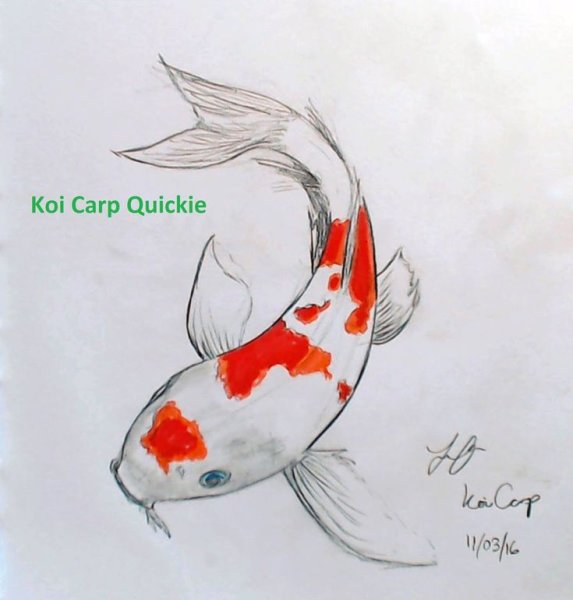 Китайские рыбки карандашом