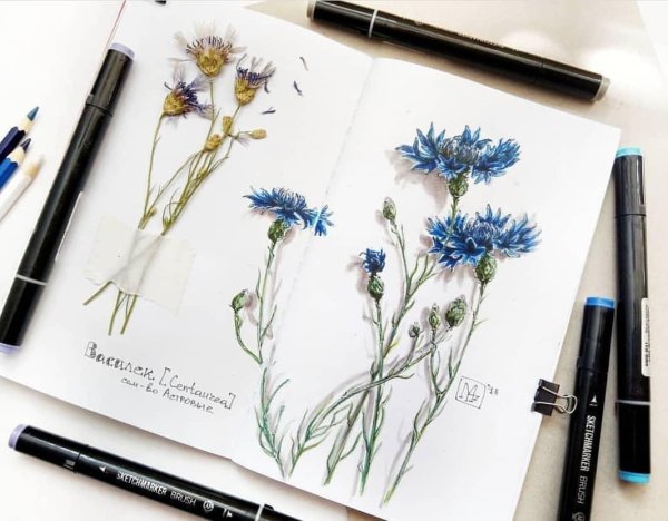 Набор маркеров SKETCHMARKER Brush Tropics 36