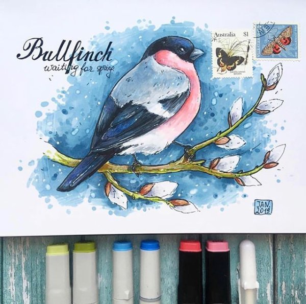 Снегирь скетч маркерами