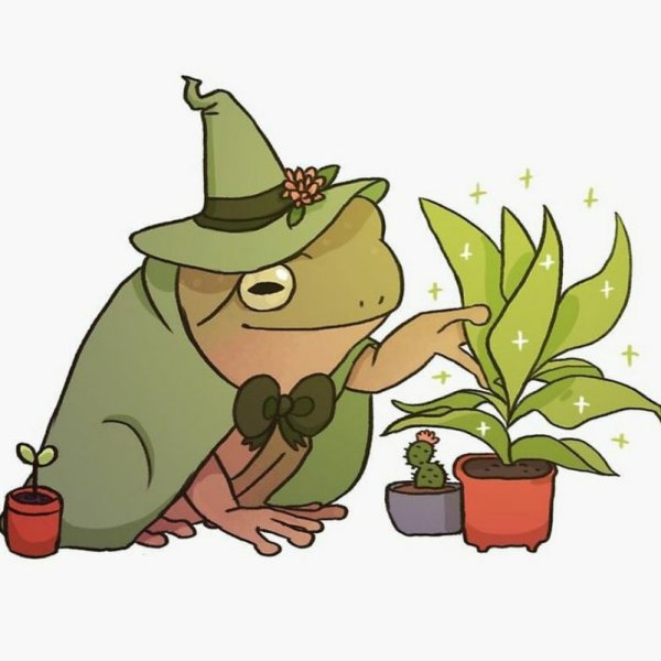 Лягушечка Goblincore