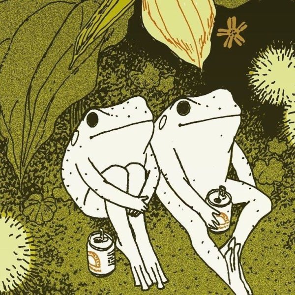 Лягушка инди КИД