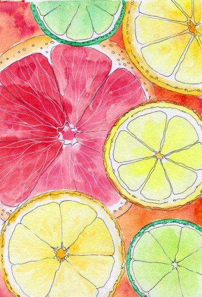 Долька цитруса акварель