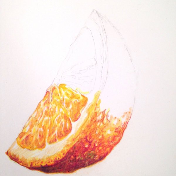 Апельсин цветными карандашами