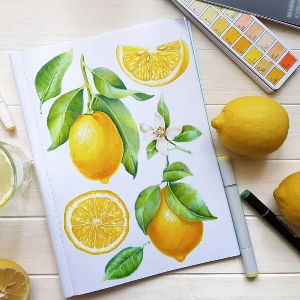 Фрукты маркерами